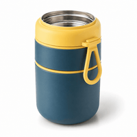Flexi Maison Boîte Repas Toutes Saisons Isotherme En Acier
