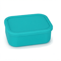 Flexi Maison Lunch Box En Silicone De Qualité Alimentaire
