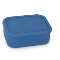 Flexi Maison Lunch Box En Silicone De Qualité Alimentaire