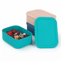 Flexi Maison Lunch Box En Silicone De Qualité Alimentaire