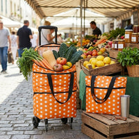 Flexi Maison Sac De Course Pliable À Roulettes