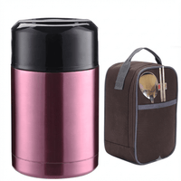 Flexi Maison Thermos Alimentaire Isotherme Inox avec Sac Repas